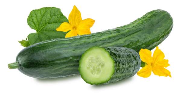 Fragrance:  Cucumber